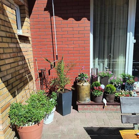 Ogrodek U Eli Lägenhet Kołobrzeg Exteriör bild