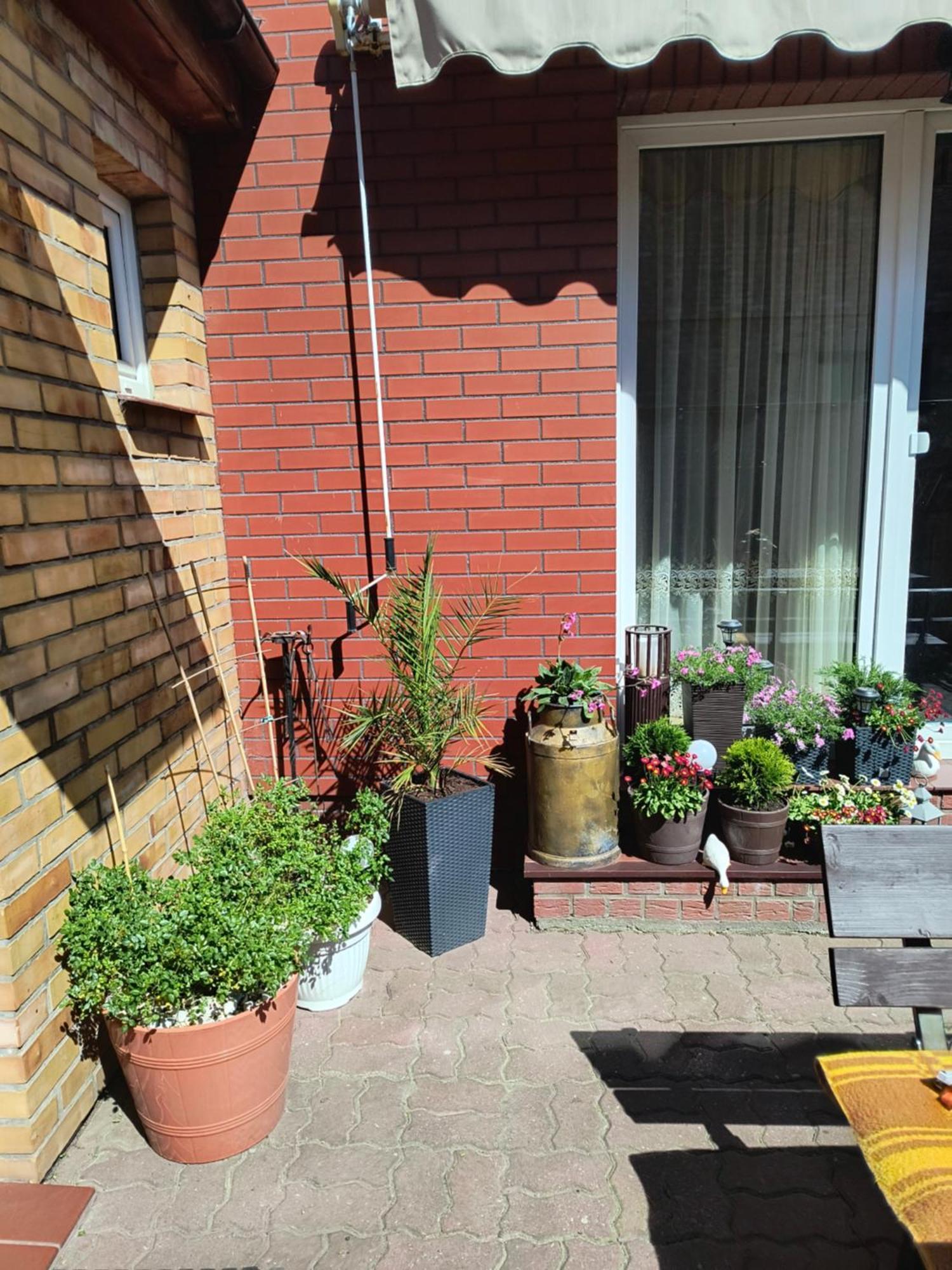 Ogrodek U Eli Lägenhet Kołobrzeg Exteriör bild